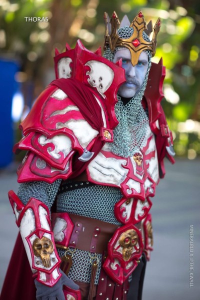 Косплей с BlizzCon 2018 поражает Косплей с BlizzCon 2018 поражает