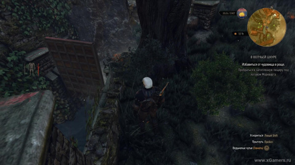 Квест "В волчьей шкуре" в игре Ведьмак 3: как снять проклятие с Моркварга?