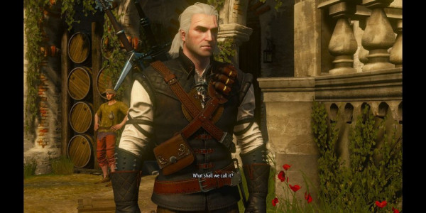 Школы ведьмаков по знакам зодиака