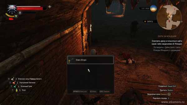 Убить или пощадить Ублюдка Младшего в игре Ведьмак 3: прохождение миссии "Охота за младшим"