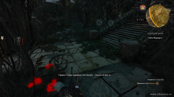 Квест "В волчьей шкуре" в игре Ведьмак 3: как снять проклятие с Моркварга?