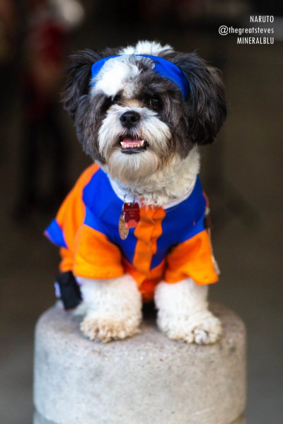 Лучший косплей с Anime Expo 2019 Лучший косплей с Anime Expo 2019