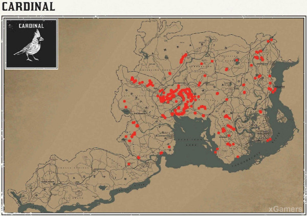 Red dead redemption 2 - животные. Карты с местами обитания