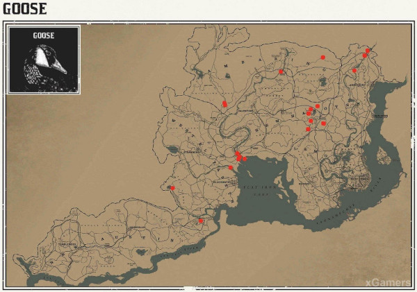 Red dead redemption 2 - животные. Карты с местами обитания