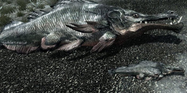 Существа из Skyrim по знакам зодиака Существа из Skyrim по знакам зодиака