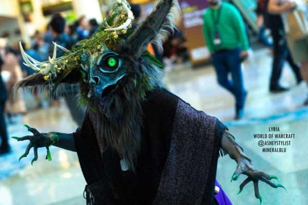 Лучший косплей с BlizzCon 2019