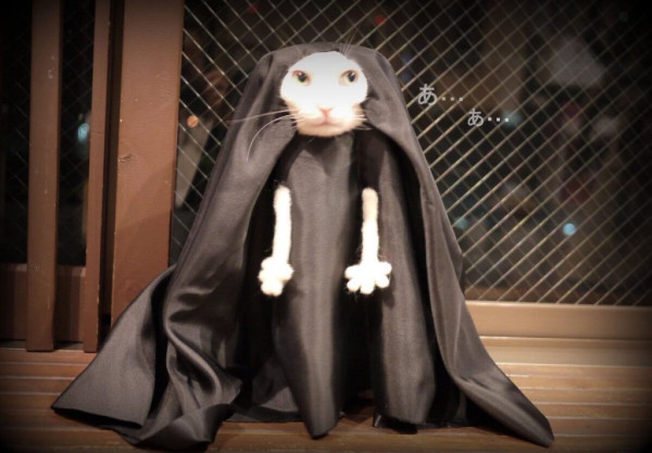 Кошачий косплей очень даже хорош