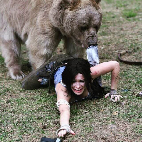 Косплей Lara Croft с гигантским медведем