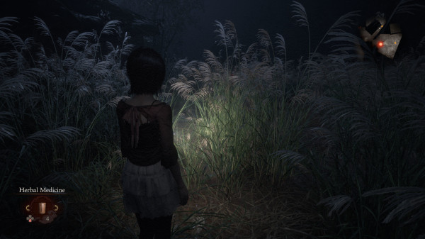 Обзор FATAL FRAME 2: Crimson Butterfly REMAKE