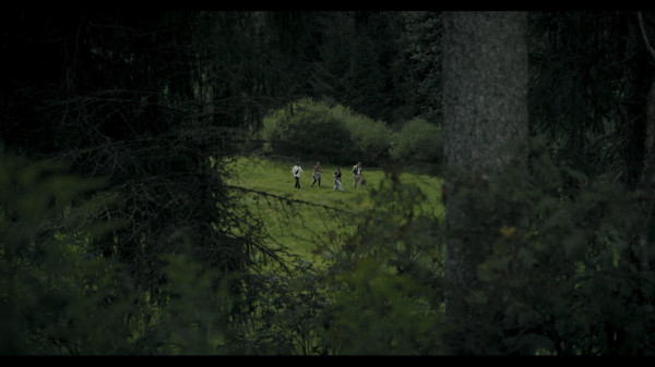 Обзор Heart of the Forest