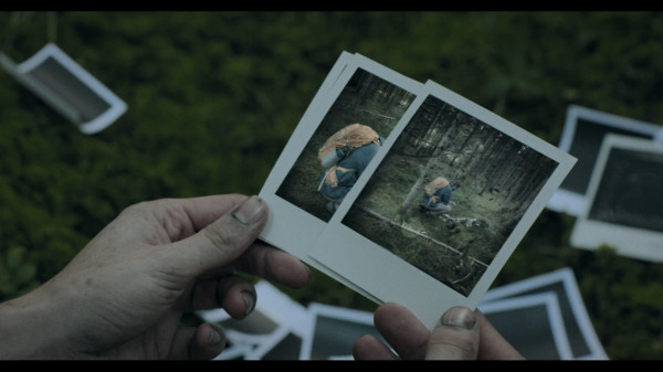 Обзор Heart of the Forest