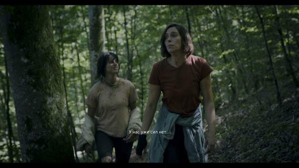 Обзор Heart of the Forest