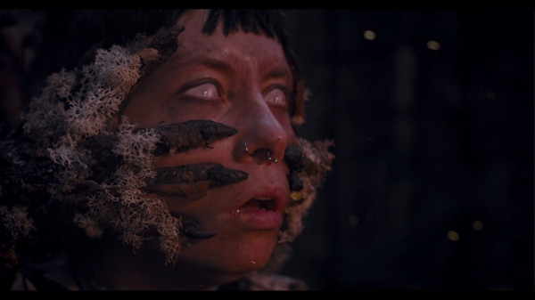 Обзор Heart of the Forest