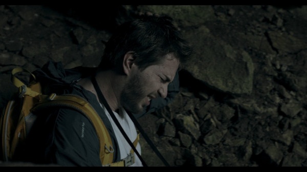 Обзор Heart of the Forest