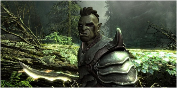 Расы Skyrim и знаки зодиака, которые им соответствуют