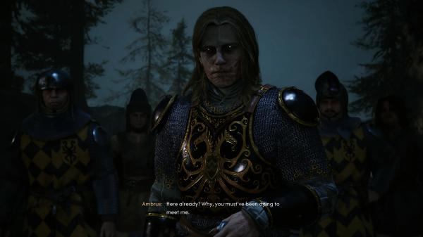 Обзор The Blood of Dawnwalker